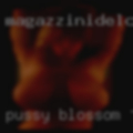 Pussy Blossom, Texas